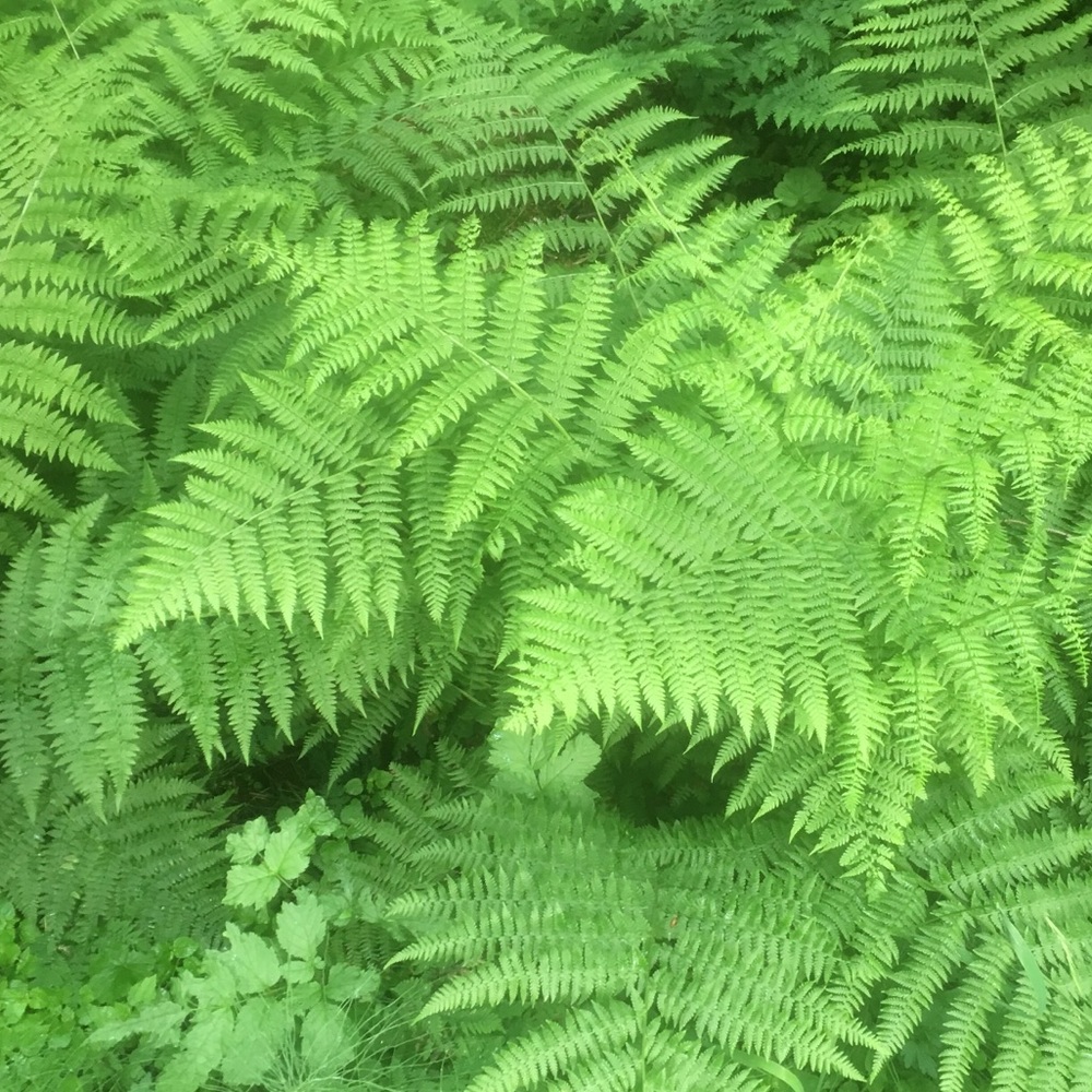 Meet your Posher, curlygurlyyy